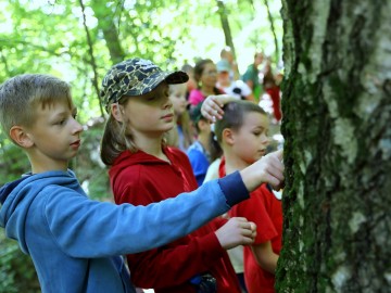 Ruszył projekt edukacyjny Kolorowa Lokomotywa w PKWŁ 2019, 